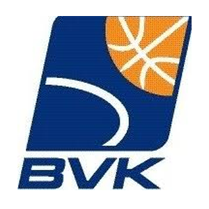 Logo BVK Holice